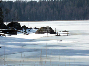 laituri25.jpg